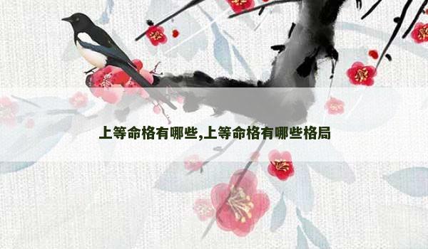 上等命格有哪些,上等命格有哪些格局