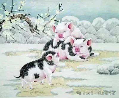 嫁人不要选这三个生肖，尤其第三名，一定慎之又慎！
