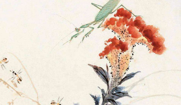 属虎人的职业，属虎人适合的职业