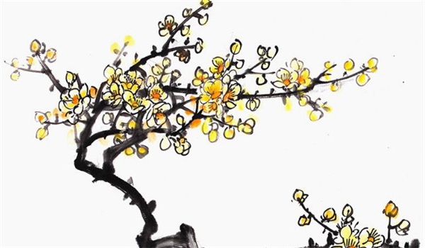 居家风水摆放花瓶怎么摆放，居家风水应该注意些什么
