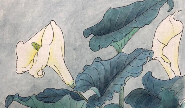 泰国的鬼节也热闹