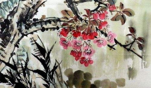 庭院景观为什么要平衡协调？